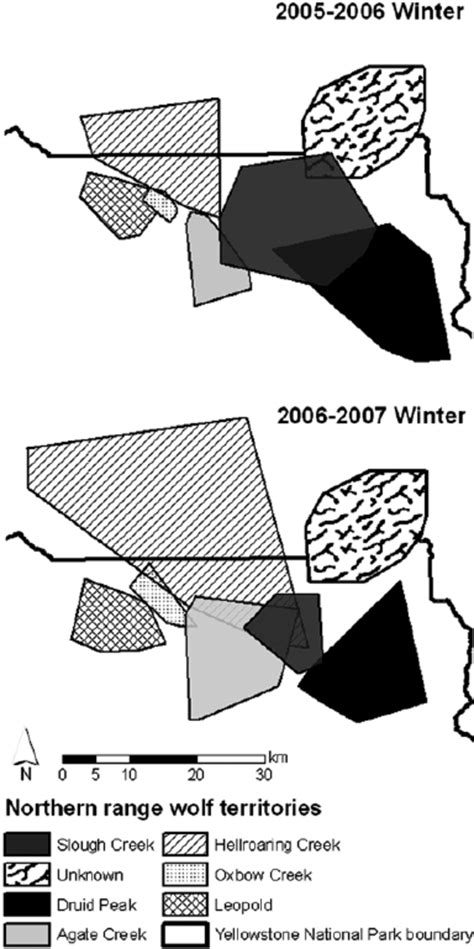 The Life Cycle and Social Dynamics of Packs of Ashen Canis Lupus