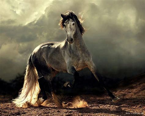 The Majestic Influence and Elegance of Equines as Ethereal Mentors