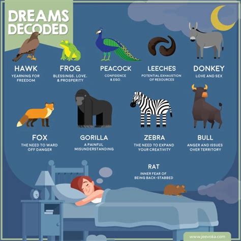 The Meaning Behind Animals in Dreams