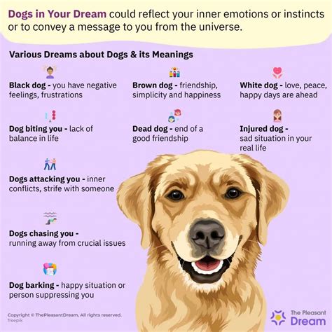 The Meaning of Canine Symbolism in Dreams