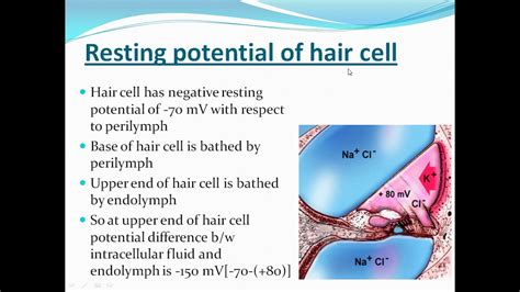 The Meaning of Hair: Unveiling Inner Potential