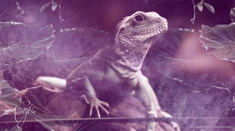 The Meaning of a Lizard's Escape in Dreams: Insights from Psychology