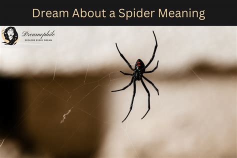 The Metaphorical Significance of Arachnids: Decoding their Importance in Dreams