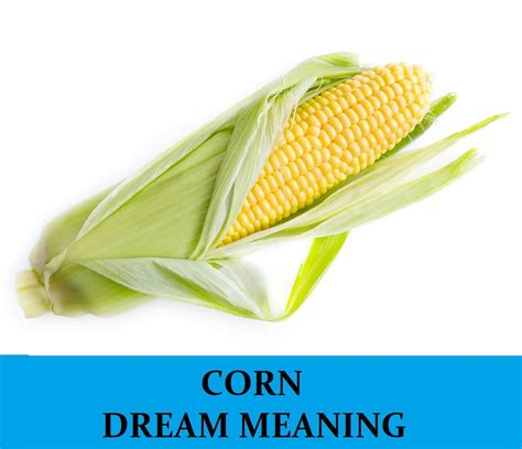 The Modern Interpretation of Corn Cob Dreams