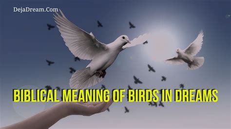 The Mysterious Significance of Birds in the Realm of Dreams