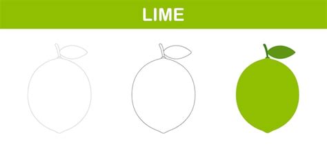 The Origins of Exuberant Lime: Tracing its Influences
