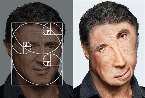 The Perfect Proportions: Analyzing the Figures of Renowned Celebrities