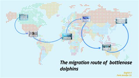 The Perpetual Nomads: Deciphering Dolphin Migration Patterns