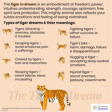 The Potent Symbolism of Dreams Portraying Tiger and Lion Assaults