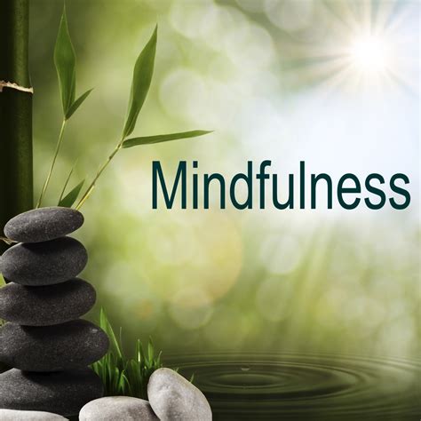 The Power of Mindfulness and Meditation