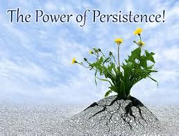 The Power of Persistence: How Aspirations Drive Resilience