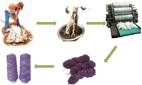 The Production Process: From Pasture to Exquisitely Soft Fibers