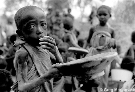 The Profound Influence: Exploring the Impact of Starvation Dreams