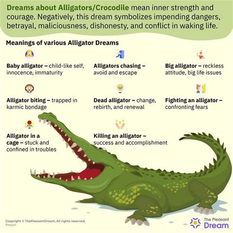 The Profound Significance of Alligators in Dreams