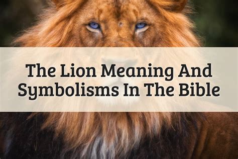 The Profound Significance of an Expectant Lion: A Deeper Understanding