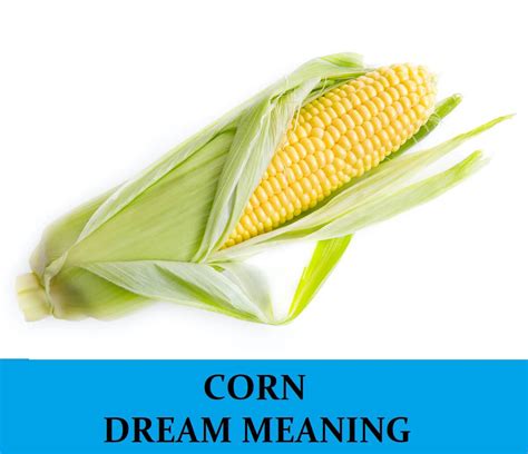 The Psychological Interpretation of Dreams Involving Corn Cobs