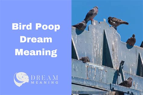 The Psychological Interpretation of Dreams Involving Pigeon Excrement