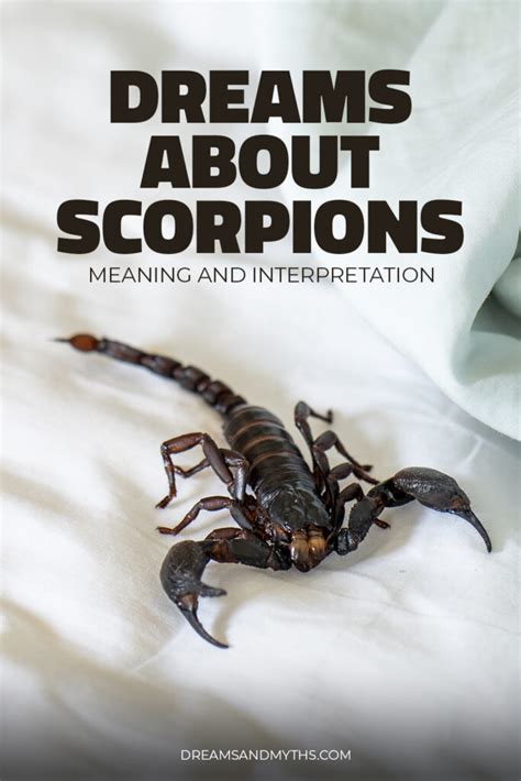 The Psychological Interpretation of Receiving a Scorpion Bite in a Dream