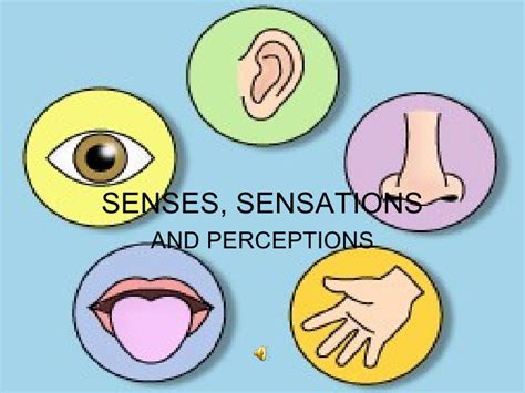The Psychology of Sensation: Exploring the Power of Touch