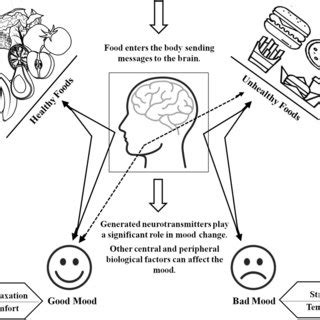 The Relationship between Food Markets and Emotional Nurturing