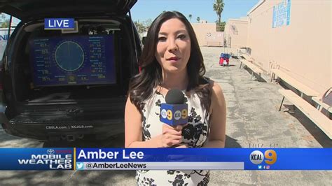 The Road to Success: Amber Lee's Achievements and Financial Status