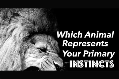 The Role of Animalistic Instincts in the Reveries of Canine Pursuers