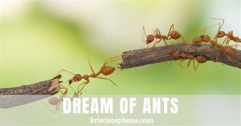 The Role of Dream Context: Understanding the Ant Attack in Relation to Other Dream Elements