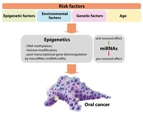 The Role of Genetics in Tongue Carcinoma