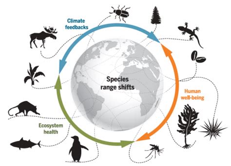 The Role of Global Warming in Shifting Ecological Systems and Invasive Species