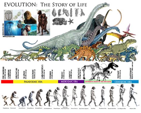 The Science Behind It: Why Do We Envision Prehistoric Eras in our Dreams?
