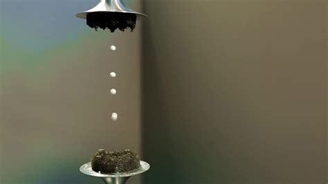 The Science behind Levitation: Unveiling the Forces at Work