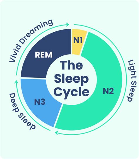 The Science of Sleep: Understanding the Purpose of Dreams
