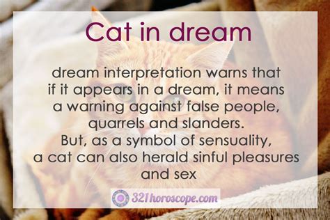 The Significance of Cat Dreams: Decoding the Hidden Meanings