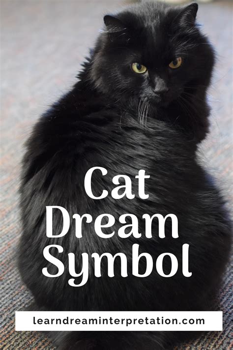 The Significance of Cats in Dreams: Unlocking Their Symbolic Meaning