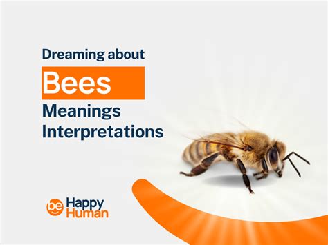 The Significance of Consultation with Professionals for Dream Disorders Associated with Anxiety of Bees