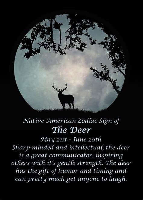 The Significance of Deer Symbolism in Native American Dream Analysis