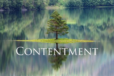 The Significance of Discovering Contentment within a Relationship
