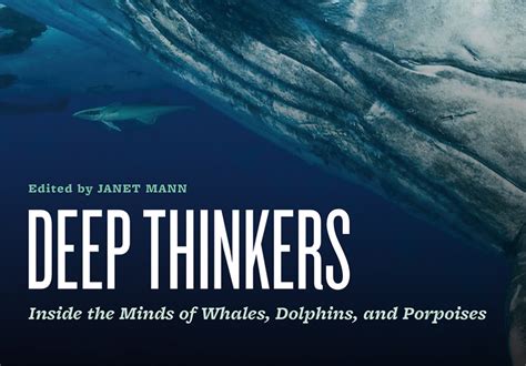 The Significance of Dreaming: Insights into the Minds of Infant Cetaceans