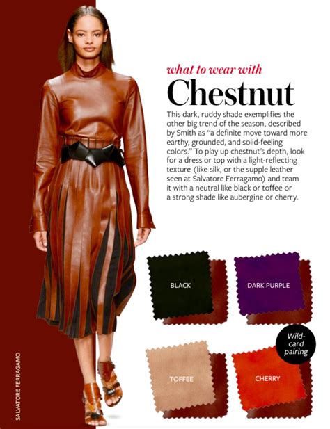 The Significance of Dreaming about Wearing a Chestnut-colored Outfit