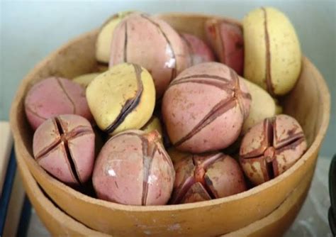 The Significance of Kola Nut in Traditional African Ceremonies