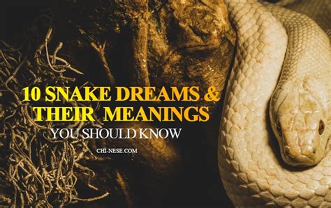 The Significance of Snake Symbolism in the Interpretation of Dreams