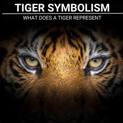 The Significance of Tigers in Eastern Mythology and Spiritualism