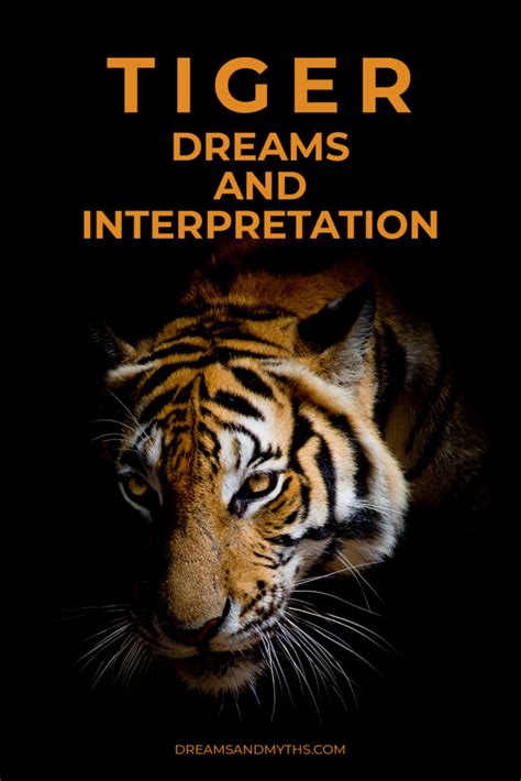 The Significance of Tigers in one's Dreams