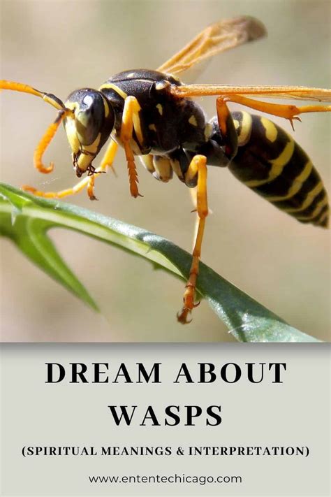 The Significance of Wasps in Dream Interpretation