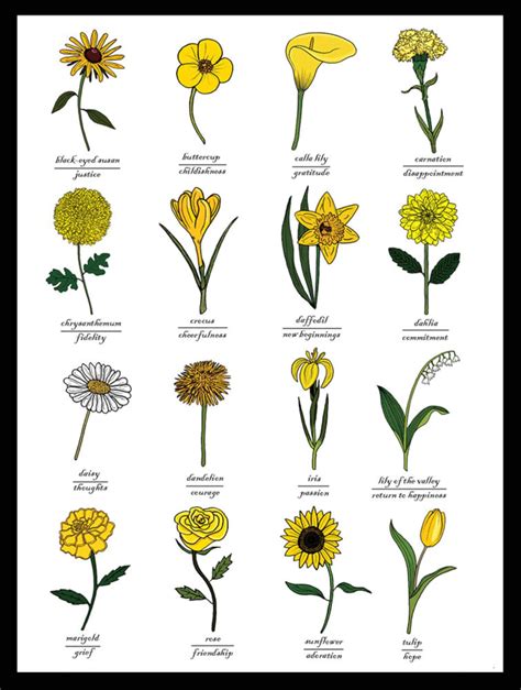 The Significance of Yellow and White Blooms