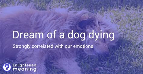 The Significance of a Dying Canine in Dreams: Decoding the Symbolic Representation