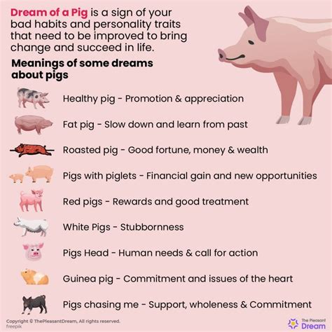 The Significance of an Overweight Swine in the Realm of Dream Analysis