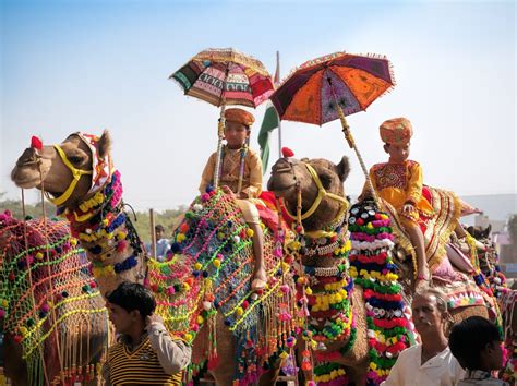 The Significance of the Headless Camel in Folklore and Culture