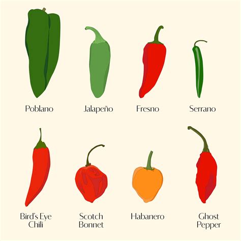 The Significance of the Spicy Scarlet Chili Pepper in Various Cultures
