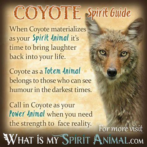 The Significance of the White Coyote in Native American Culture